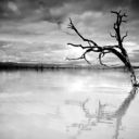 Mark Brewster - @TreeBandDRP - Twitter