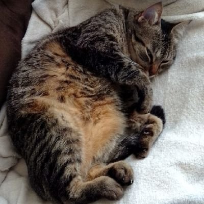 eira__barbara's profile picture. sem eira nem beira