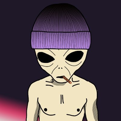 Don Rab Profile