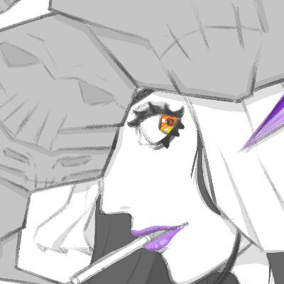 SireLさんのプロフィール画像