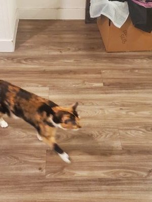 Ahhhh616836671's profile picture. 24