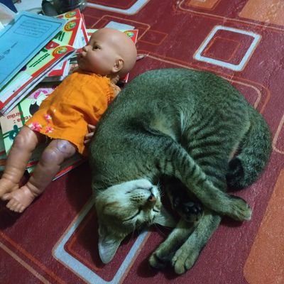 sarif_ahmad's profile picture. memayu hayuning bawono