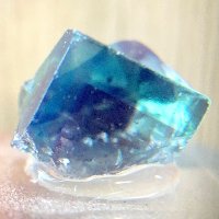 トーコ (@h_toya) 's Twitter Profile