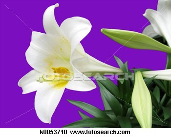 JayneMarieBarke's profile picture. Author of crime fiction: 'Beneath The Daisies', 'Distant Shadows', & 'The Dancer's Ghost'. FB: https://t.co/bfRcAtJPTe