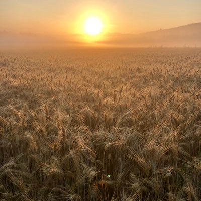 BjrnSchwarz5's profile picture. 