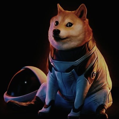 jonobtc's profile picture. 