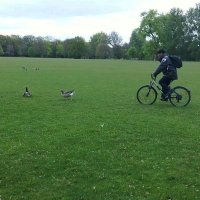 Humza (@luckyape_nft81) 's Twitter Profile