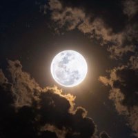 NF (@fianm33) Twitter profile photo