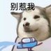 Rxido (@skurasugar) Twitter profile photo Rxido (@skurasugar) Twitter profile photo
