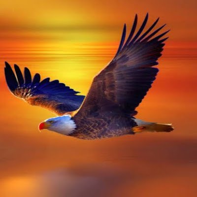 shaikbaji8989's profile picture. 