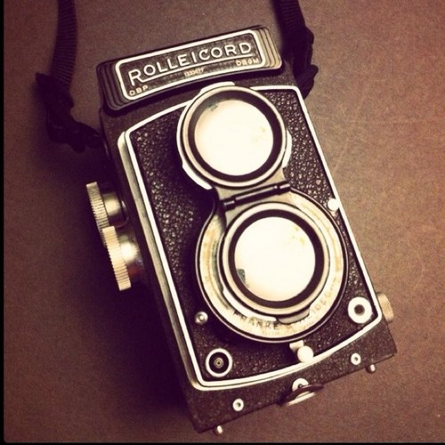 naomivphoto's profile picture. Texas bred, NYC based photographer