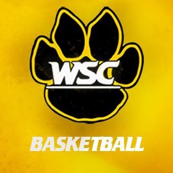 Wayne State MBB Profile