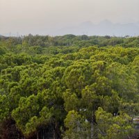 volkancan7806 (@volkancan7806) Twitter profile photo