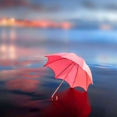 TomtocCassie's profile picture. 