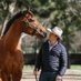 Tom Magnier Coolmore (@tommagnier) Twitter profile photo Tom Magnier Coolmore (@tommagnier) Twitter profile photo