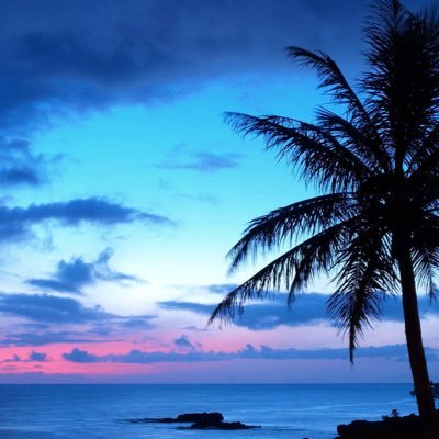 hilalyhilaly's profile picture. Life is Beautiful