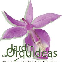 Jardin de Orquideas (@orchidsmv) 's Twitter Profile