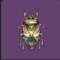 frog (@dongdragon3) 's Twitter Profile