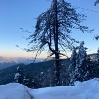 VOICE OF HIMACHAL (@voiceofstate) 's Twitter Profile