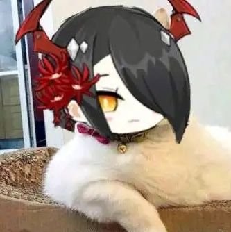 blds0's profile picture. ……