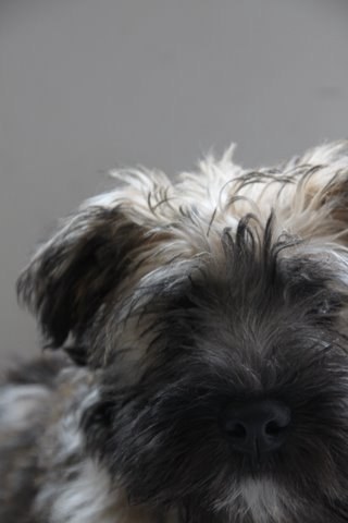 GaryDubell's profile picture. Run a busy recruitment firm in central London for Media industry as well as sourcing various support staff for west end based enterprises