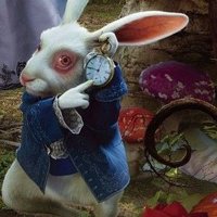 PETER (@peterschirp) 's Twitter Profile