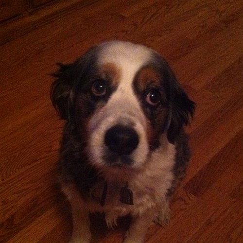 curlyhurdontkur's profile picture. 