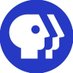 PBS America (@PBSAmerica) Twitter profile photo