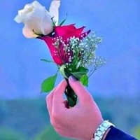 احمد النجفي (@mdlnjfy122) Twitter profile photo