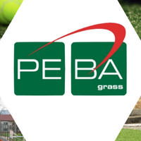 PEBA Grass(@pebagrass) 's Twitter Profile Photo