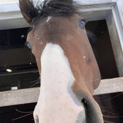 うや。さんのプロフィール画像