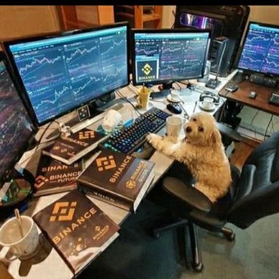 Crypto Trader/ Investor