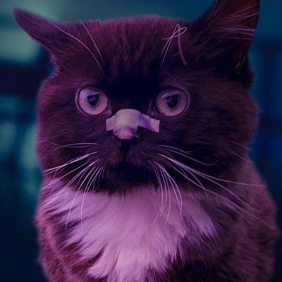 olejabaldeet's profile picture. Crypto enthusiast
low bank & pacifist