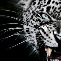 Martin Saban (@sabanmartin87) 's Twitter Profile