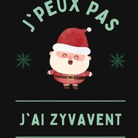 ZyvaVent 🎄 (@zyvavent) 's Twitter Profile