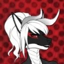 HidingAfterDark's profile picture. The best dragoness around
