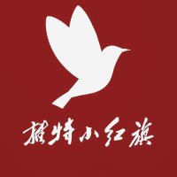 X小红旗 (@xhnsoc__redflag) Twitter profile photo