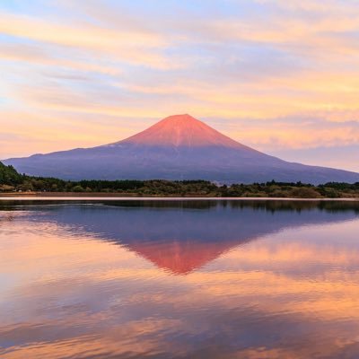 基本何もしません。とりあえず レンタルしてみませんか？ 1万円と交通費だけで付き人します。