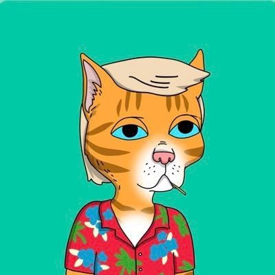 bumbersome's profile picture. May I always be in luck #NFT #SOL #ETH #XRP #BAY #APE #Solgiveaway #GIVEAWAY