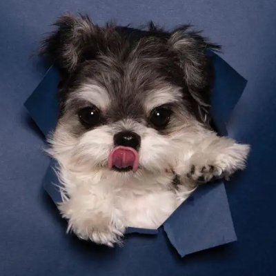 YaminKing15's profile picture. Cute little animals, come on!