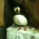 Rodney Berger - @rjb9791 - Twitter