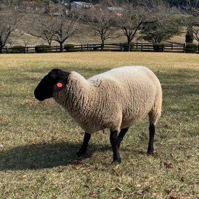 国立大建築→財閥系不動産デベ→MBA→外資不動産AM | 港区・渋谷区が好きなわけじゃないけど、嫌いになれない | 昔DJだったので時々音楽ネタ