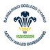 Barbariaid Gogledd Cymru (@barbariaidgc) Twitter profile photo