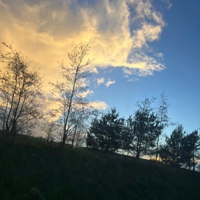 HiraKhaliq5's profile picture. 