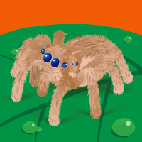 nhi linh (@nhilinh03086858) 's Twitter Profile