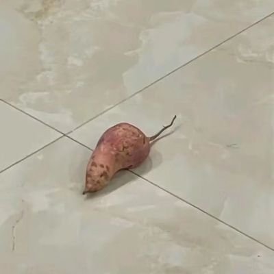 zixing63639659's profile picture. 在自己的小世界里让自己开心，记录一下日常

身高176 体重58喜欢小裙子

嗯就这样