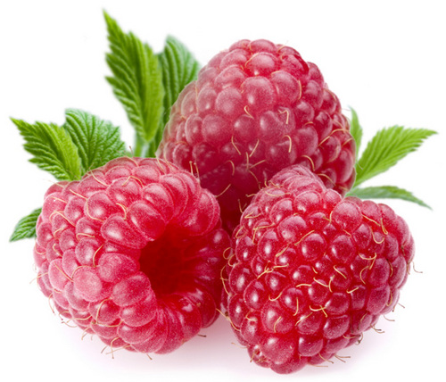 BERRYDEWBLOG's profile picture. 