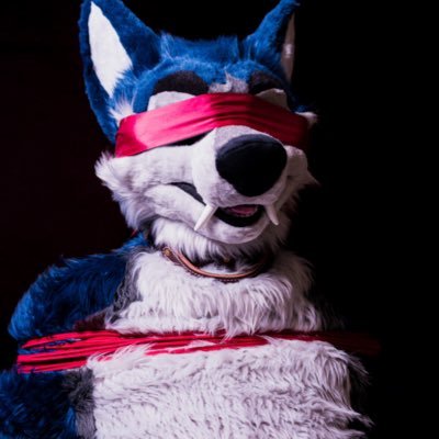 ServiceWorg's profile picture. May or may not be a naughty fur you know. 🔞No minors allowed!🔞 28 y/o