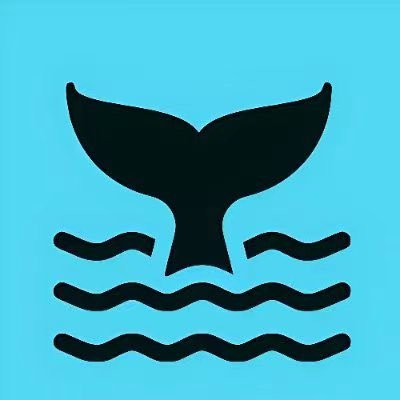 yaowen63733247's profile picture. 不知道，也不想知道