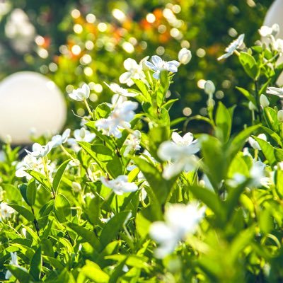 aym00pcf's profile picture. PSYCHIC FEVER--♡--志kokoro--ここれん🎤🤘🏻💚